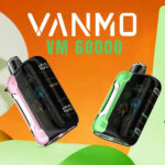 VANMO VM60000 Disposable